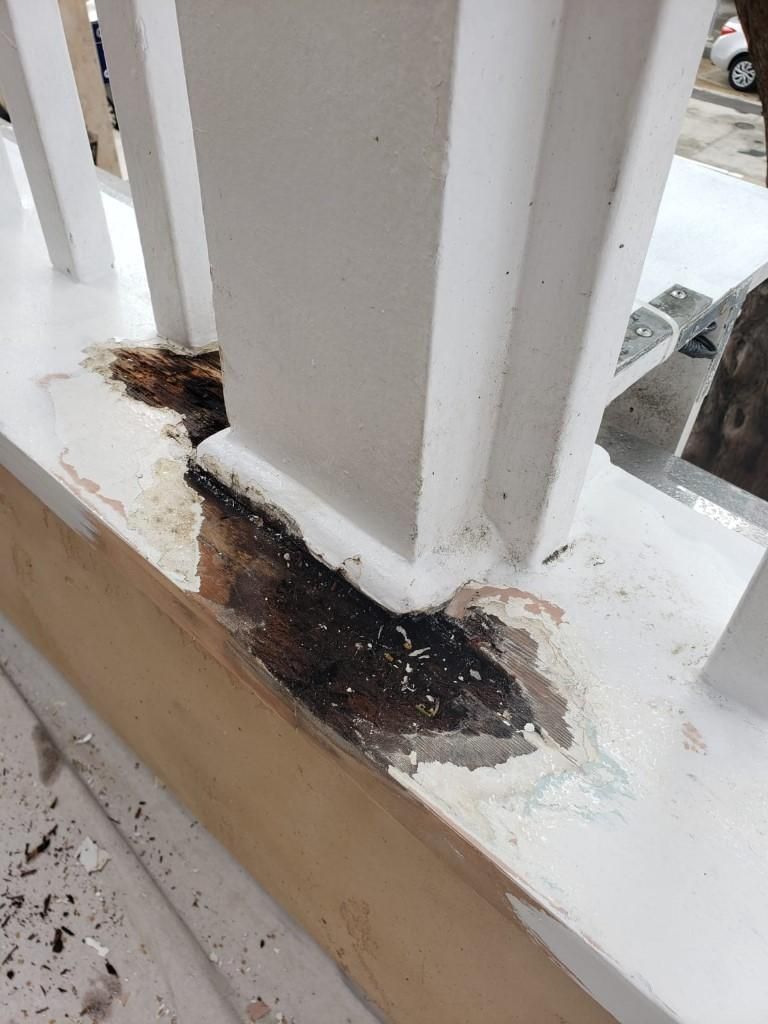 Dry rot damage before repair